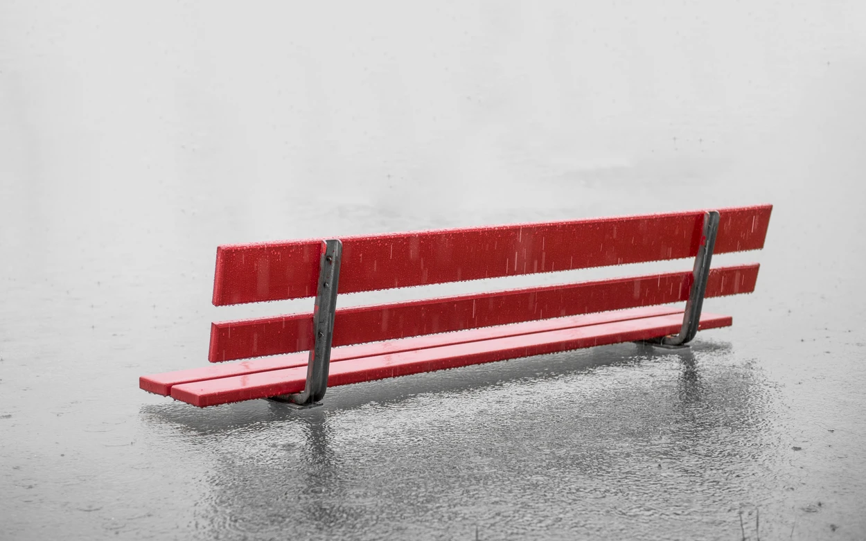 Денис Сафин перевел 100 миллионов рублей в фонд помощи
пострадавшим от паводка