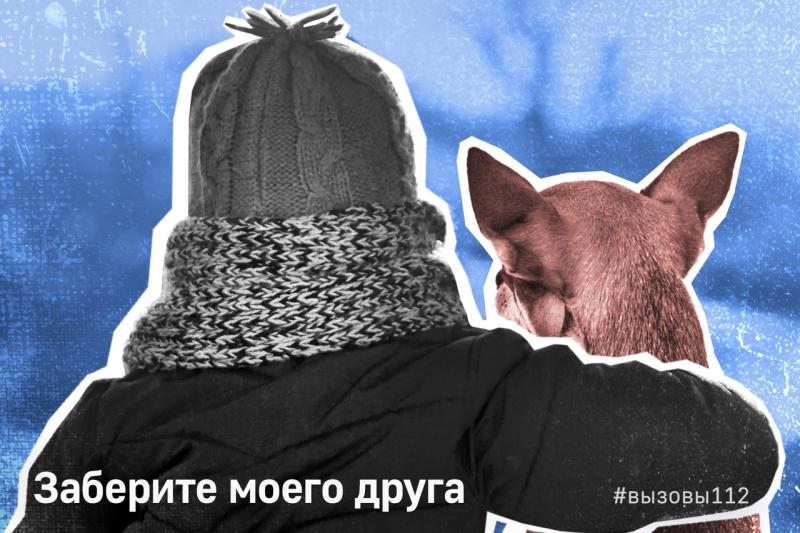 Заберите моего друга