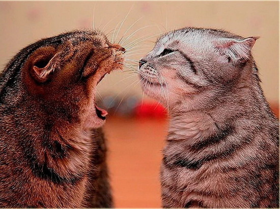 Как не потратить жизнь на бестолочь