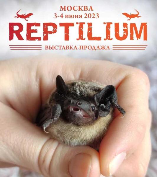 «Белый листонос» примет участие в Выставке-продаже Reptilium