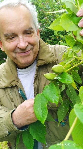 Лирика и проза русского вологодского писателя Андрея Малышева