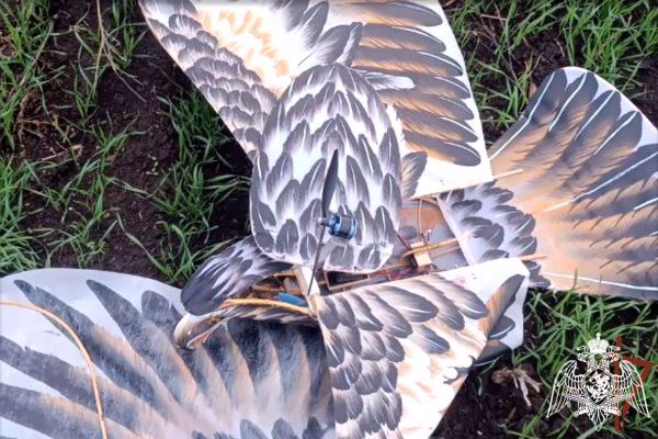 Росгвардейцы перехватили замаскированный под птицу беспилотник ВСУ в ДНР