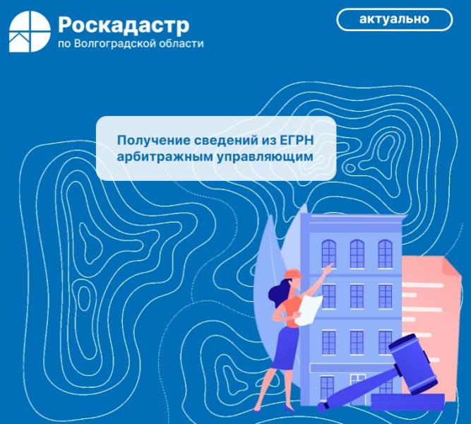 Получение сведений из ЕГРН арбитражным управляющим