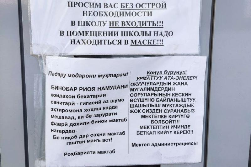 В травле русских обвинили учеников-мигрантов одной из школ Новосибирска