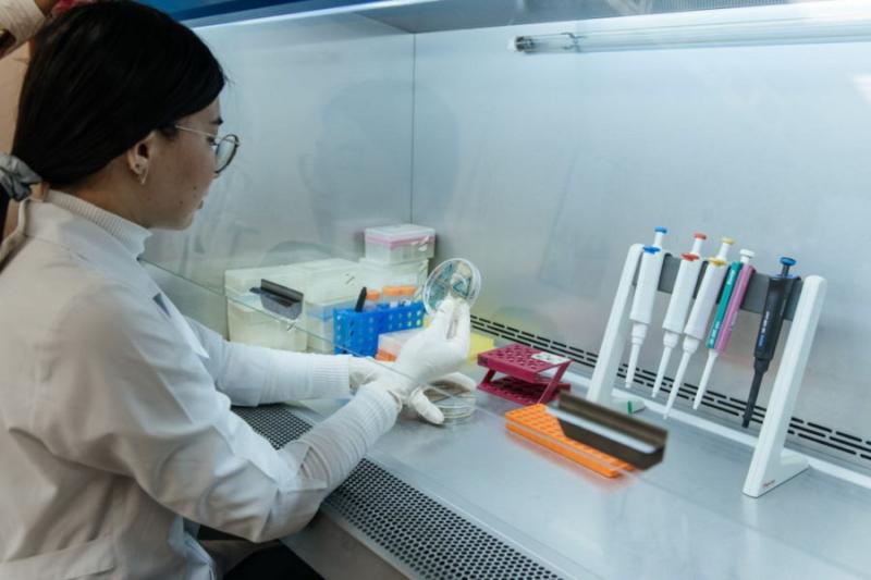 20 новосибирских научных организаций получат гранты от Минобрнауки РФ