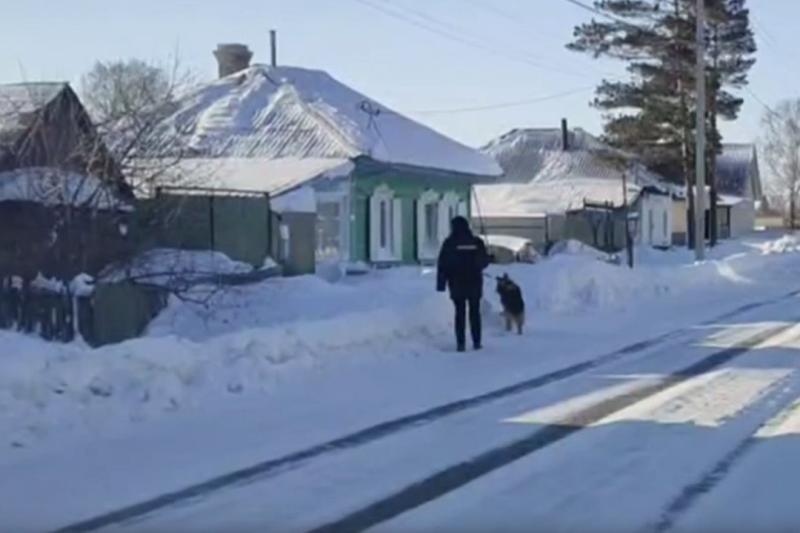 Полицейская овчарка раскрыла кражу медного кабеля на ЖД под Новосибирском