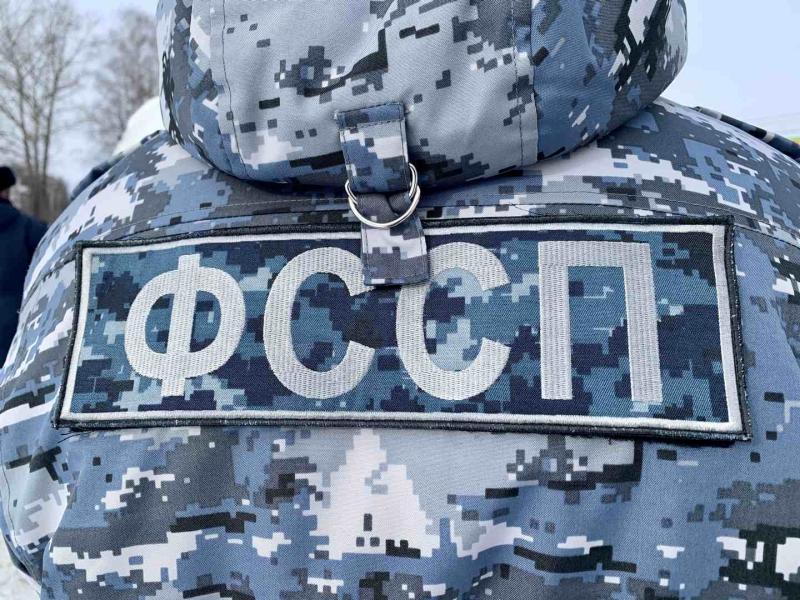 Судебные приставы Марий Эл выдворили нелегальных гостей на родину