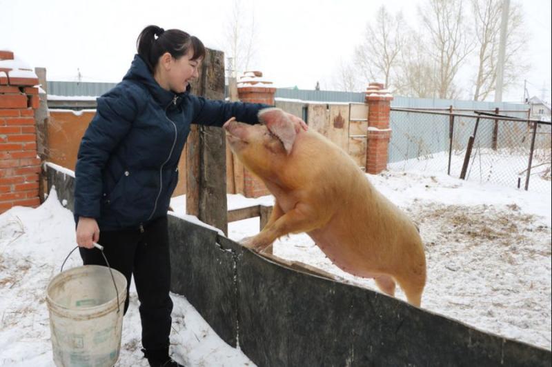 Более миллиарда рублей получили семьи Новосибирской области по социальному контракту