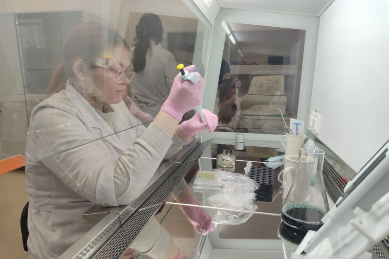 Проект передовых инженерных школ в Новосибирской области будет расширен в соответствии с Посланием Президента