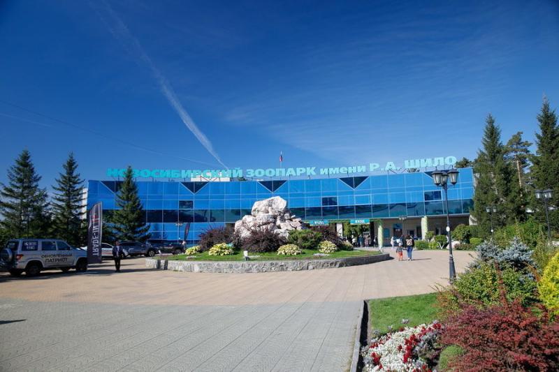 Пенсионеры смогут бесплатно посмотреть животных в зоопарке Новосибирска