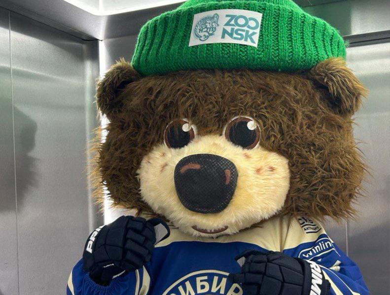 Талисман новосибирского зоопарка Миша возвращается домой