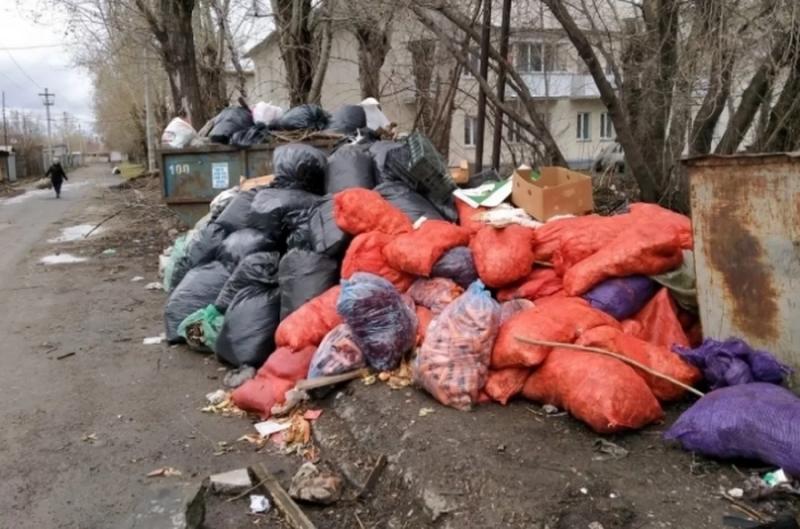 Головы коров нашли в мусорных баках в Новосибирске