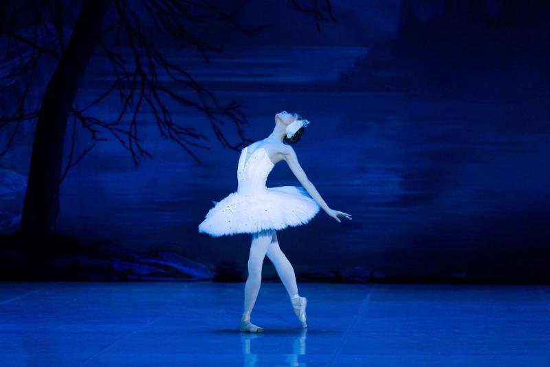 Выпускники БРХК этого года защитили дипломы