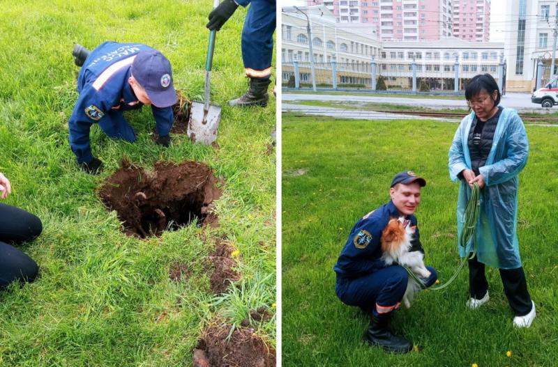 Спасатели достали из ямы собаку жительницы Новосибирска