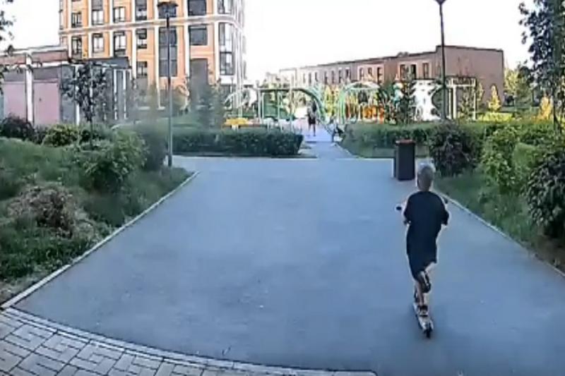 Проводится проверка нападения собаки на 6-летнего мальчика в Новосибирске