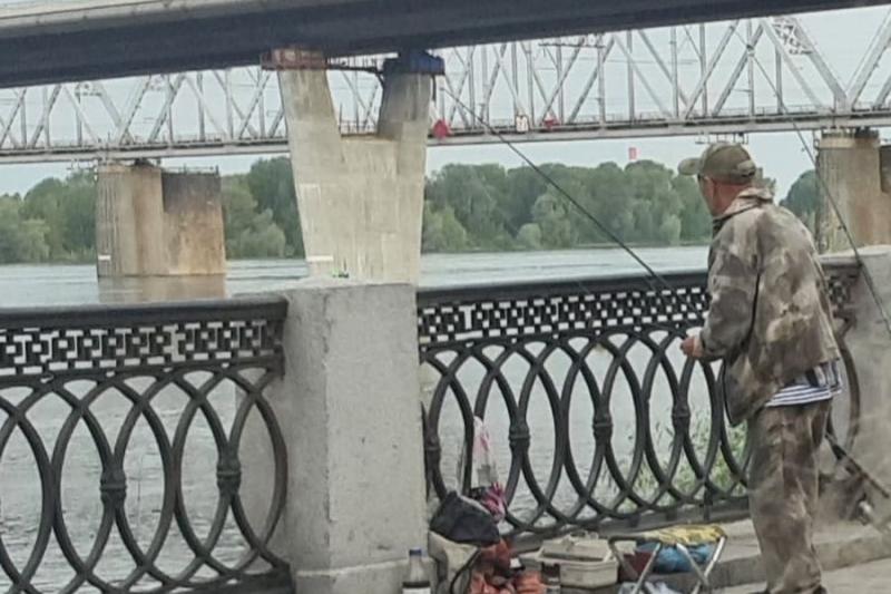 «Раскладывают червей на лавочках»: рыбаки на Михайловской набережной бесят прохожих в Новосибирске