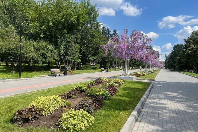 Душистые травы высадили на Михайловской набережной в Новосибирске