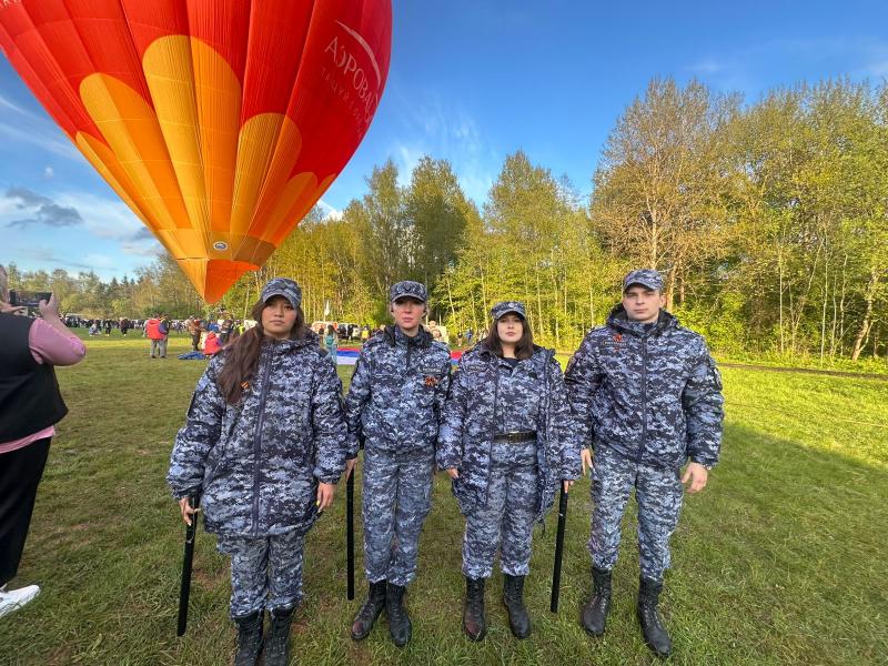 Фестиваль воздухоплавания 